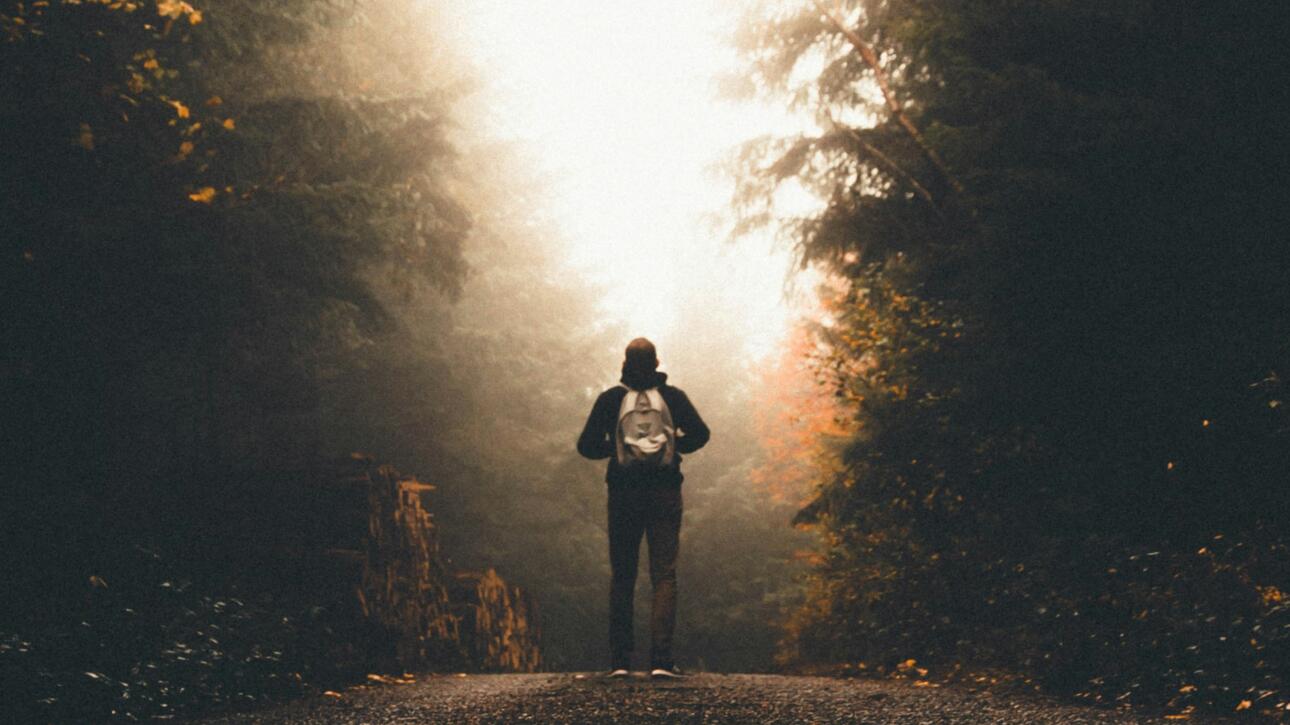 The Power of Motivation