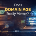 Does Domain Age Really Matter? I Think Most Investors Get Wrong